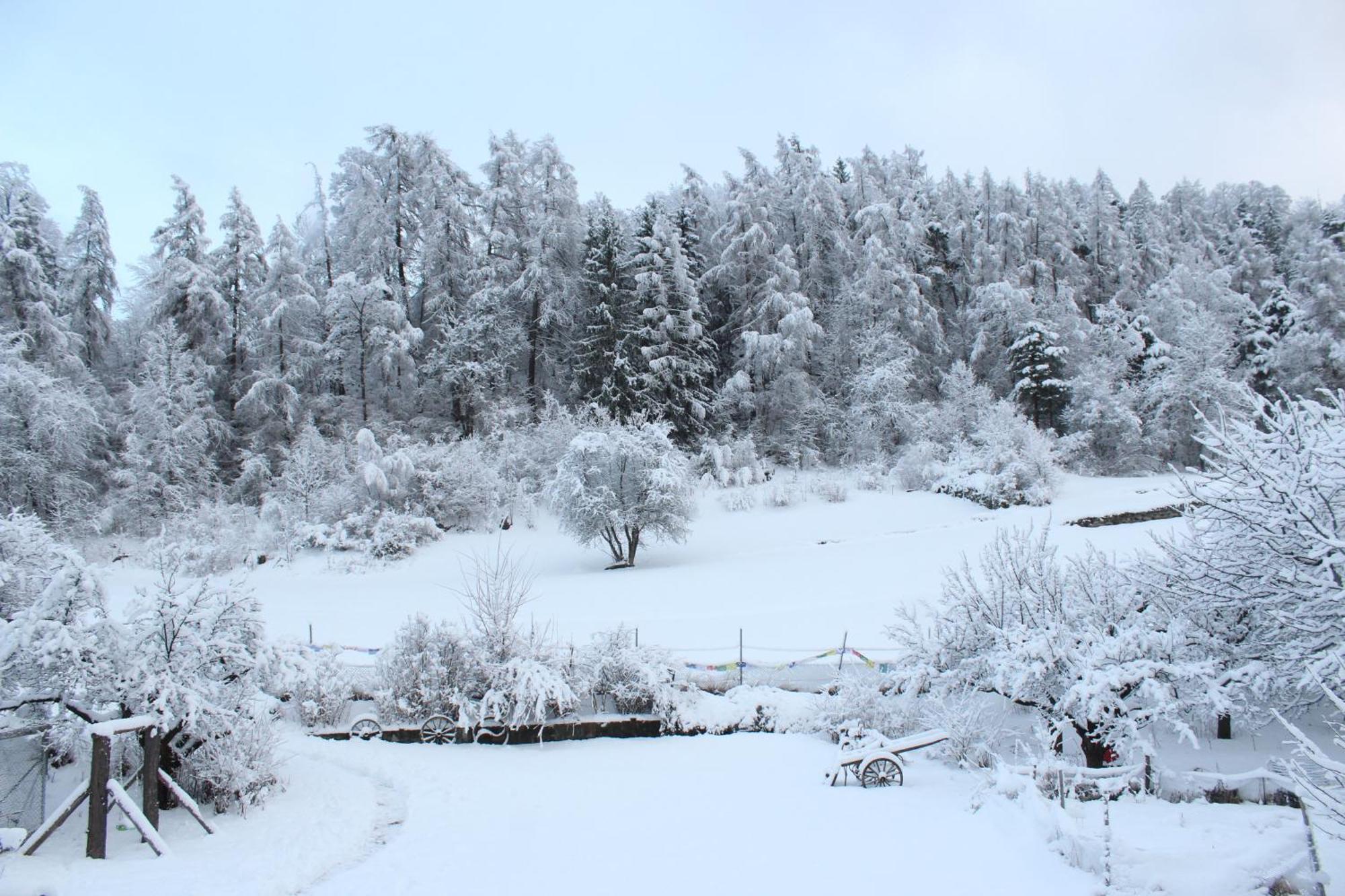 Domaine Bellevie Bnb Vex Exteriör bild